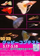 画像: 臨時休業のお知らせ。