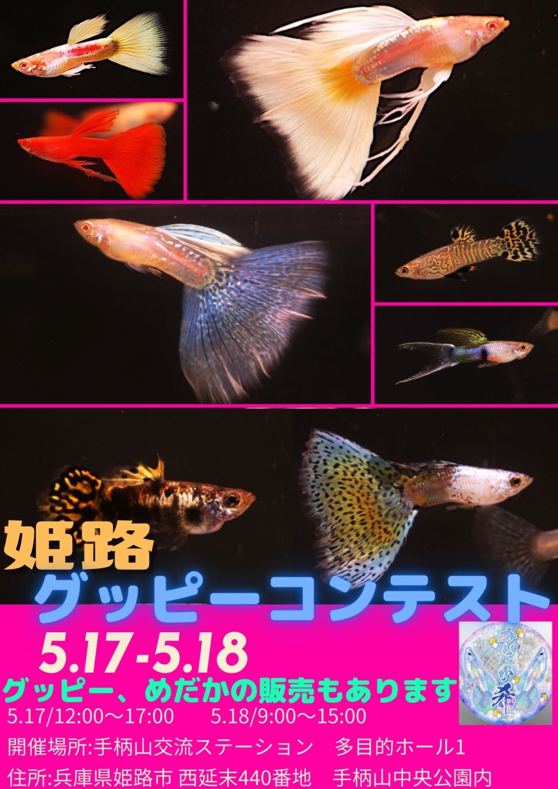 画像: 臨時休業のお知らせ。
